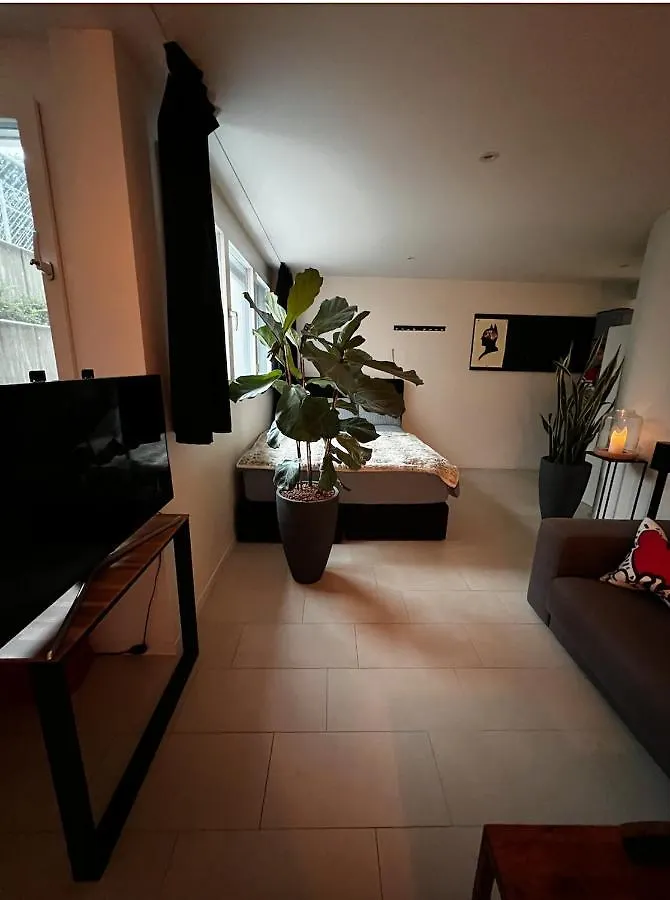 Cozy New Flat 40Sqm, Onfront Busstation, 10Min To Centre Apartment Basel Switzerland
